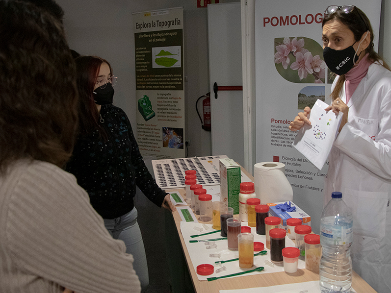 Taller alimentación de las plantas