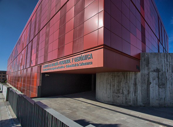 Instituto de Biología Funcional y Genómica CSIC/USAL (Salamanca)