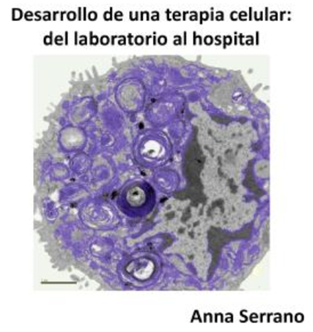 Xerrada "Desenvolupament d'una teràpia cel·lular: del laboratori a l'hospital"