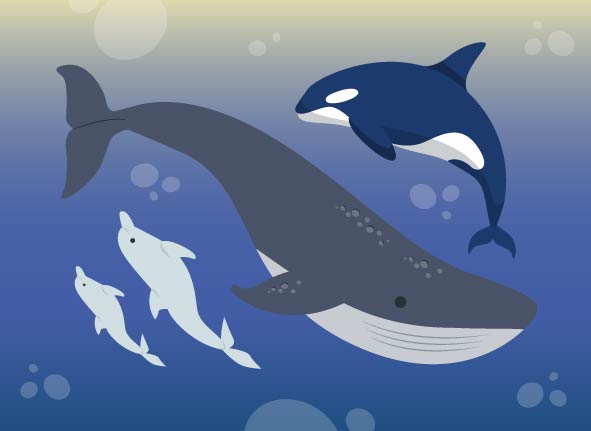 El Mediterráneo y sus “inquilinos”