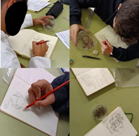 Ilustración