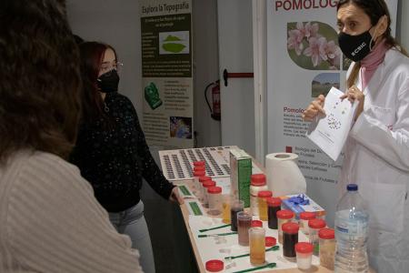 Taller alimentación de las plantas