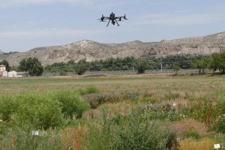 dron