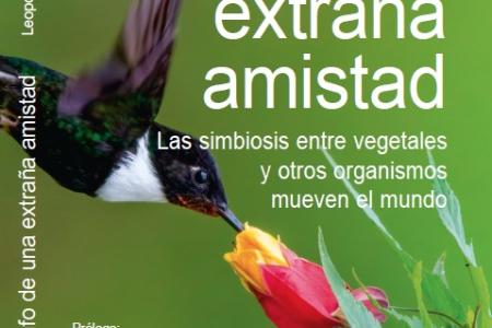 Imagen de la portada del libro "El triunfo de una extraña amistad"
