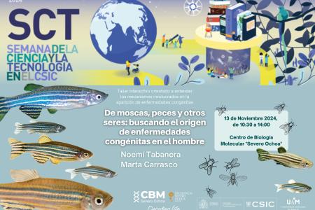 cartel