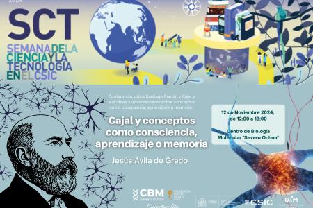 cartel