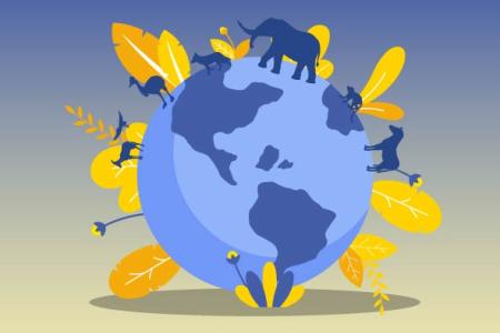 Biodiversidad: En la variedad está el gusto, pero ¿siempre es buena?