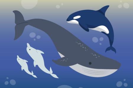 El Mediterráneo y sus “inquilinos” 