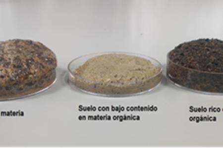 El suelo bajo nuestros pies: la base de la vida y su conservación.
