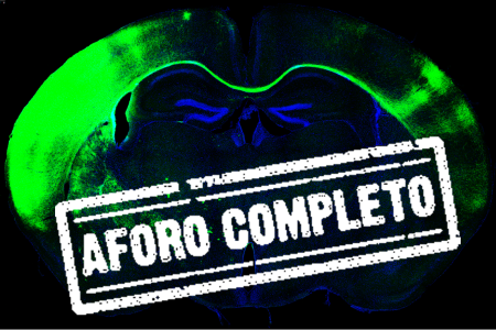 AFORO COMPLETO