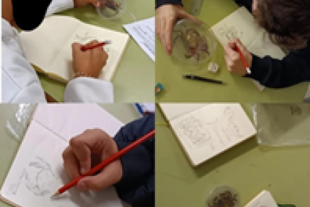 Ilustración