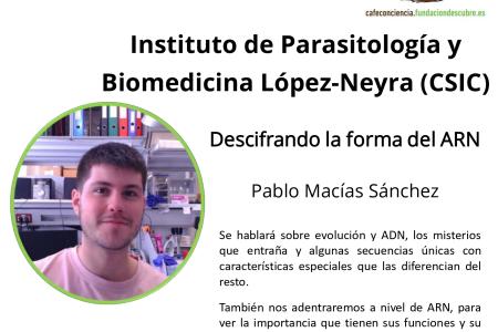Cartel Actividad